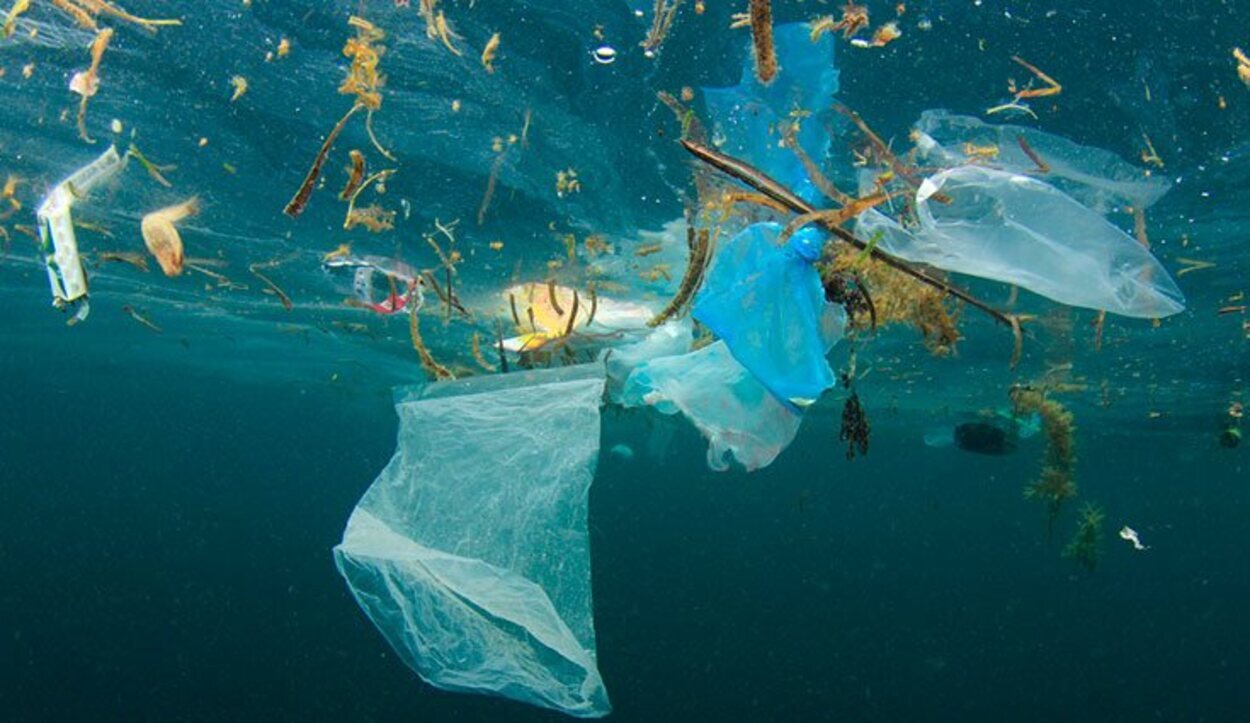 Para que el océano no se convierta en un gran mar de plástico, se debe comenzar a reducir, reutilizar y reciclar.