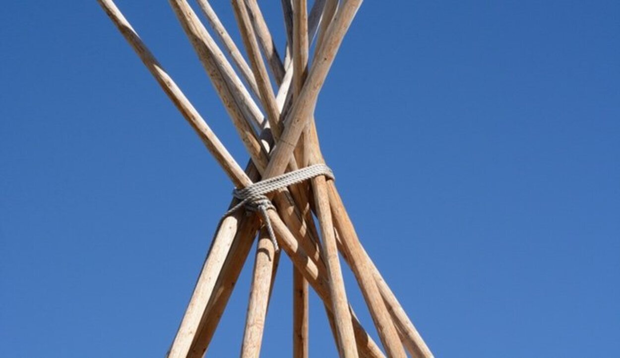 Selecciona bambú seco para crear tu estructura