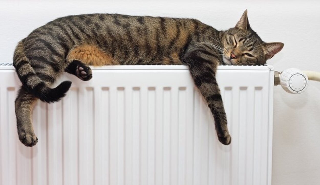 Los radiadores nunca se deben cubrir y es conveniente apagar la calefacción durante la noche