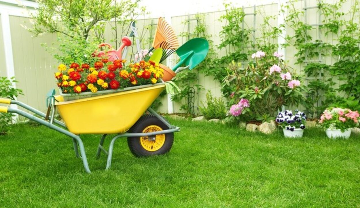 Planifica el cultivo de flores, plantas, frutas y verduras en función de la época del año
