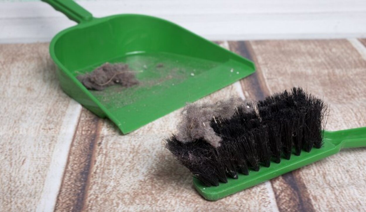 Es importante llevar una limpieza regular para mantener el hogar con el menor número de ácaros