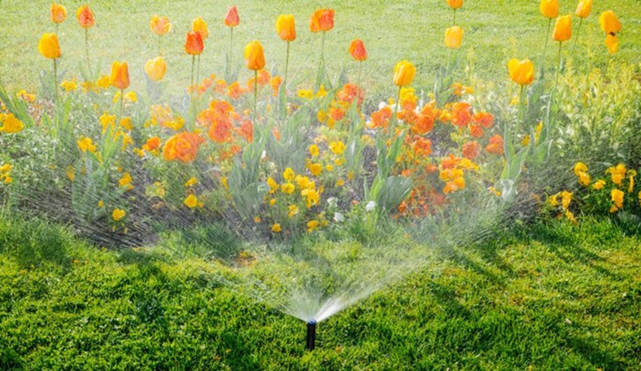 El riego automático es una buena solución para aquellas zonas de jardín más extensas