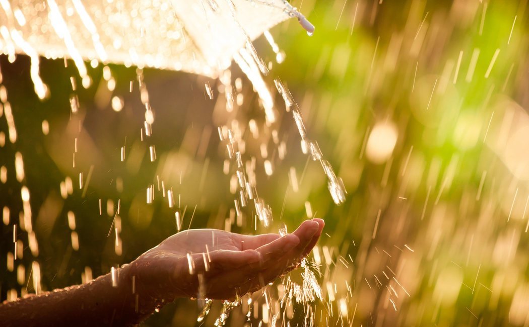 5 maneras de aprovechar el agua de la lluvia