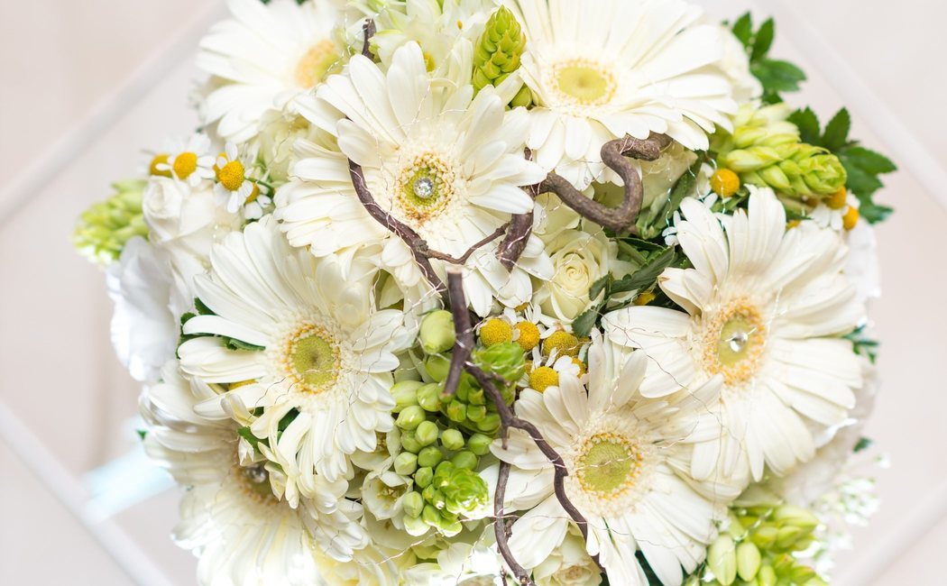 Flores blancas para regalar