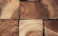 Componentes básicos de la madera