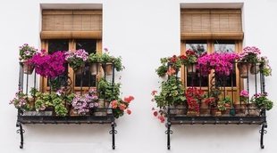 Cómo decorar la terraza o el balcón con plantas