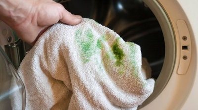 Cómo limpiar manchas de verdín